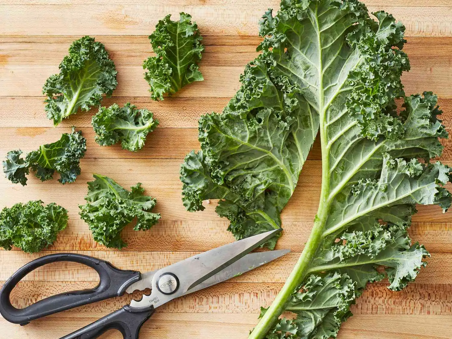 Baked Kale Chips Recipe