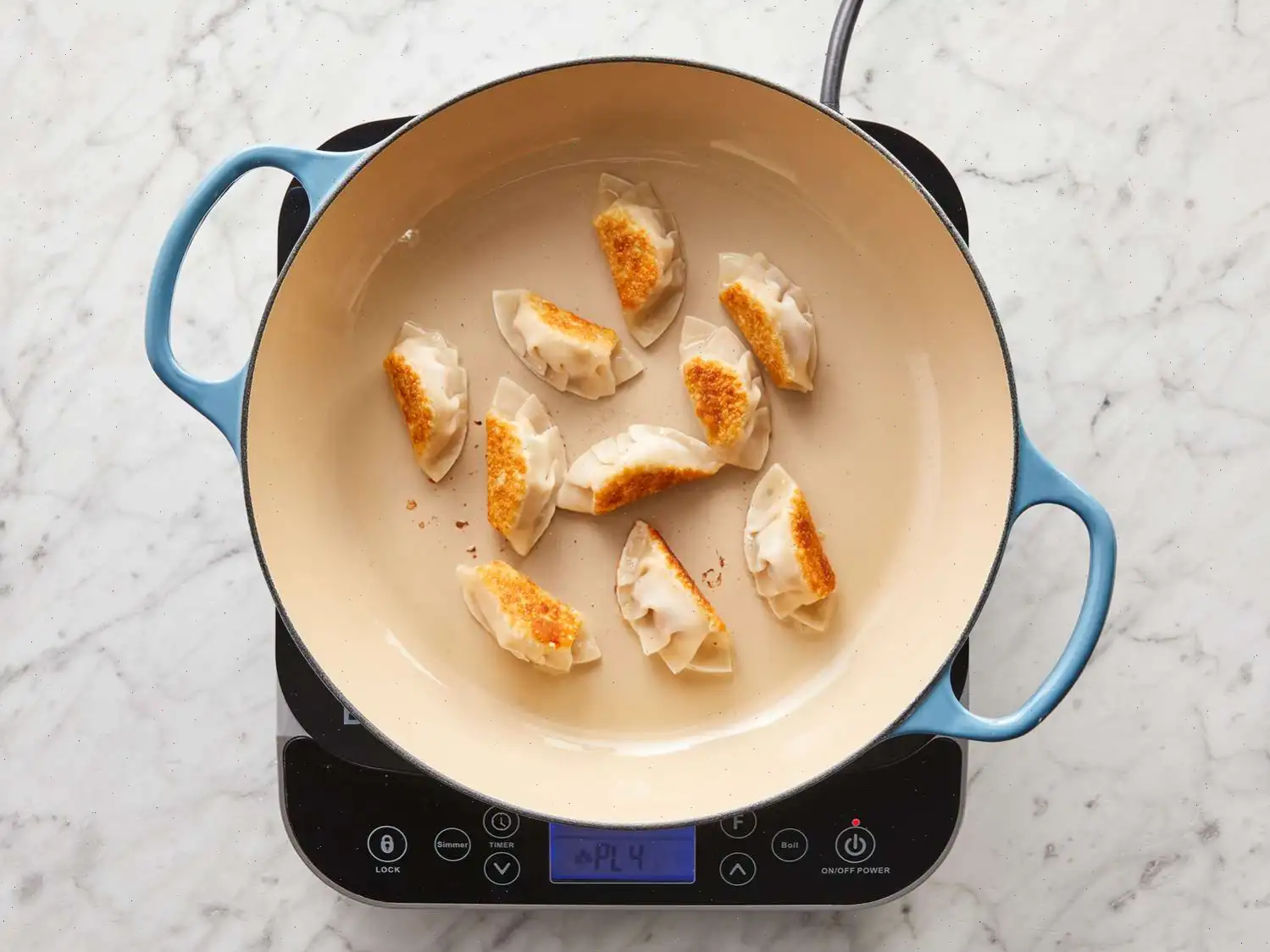 Chinese Pork Dumplings Recipe