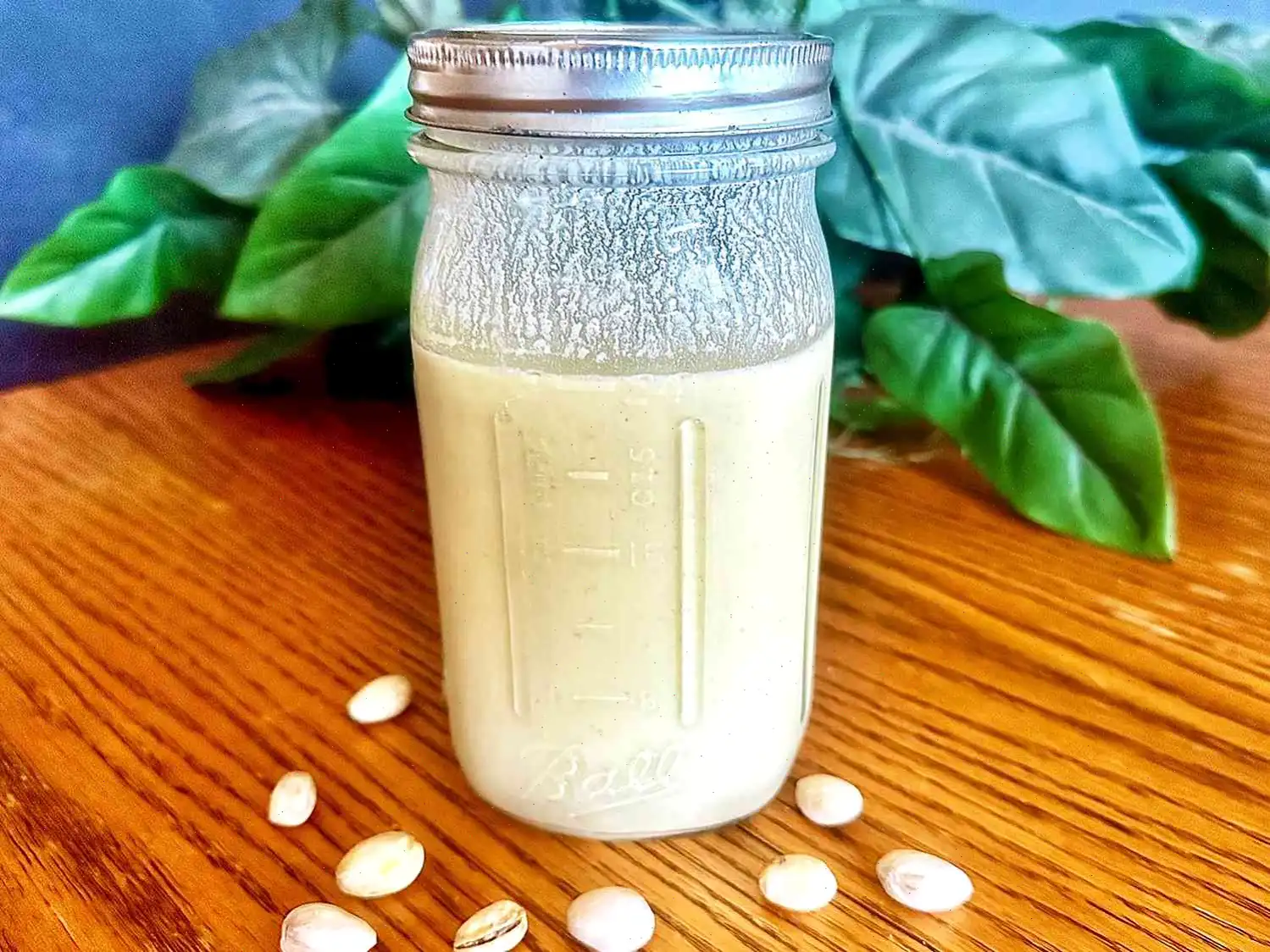 Pistachio Milk Recipe
