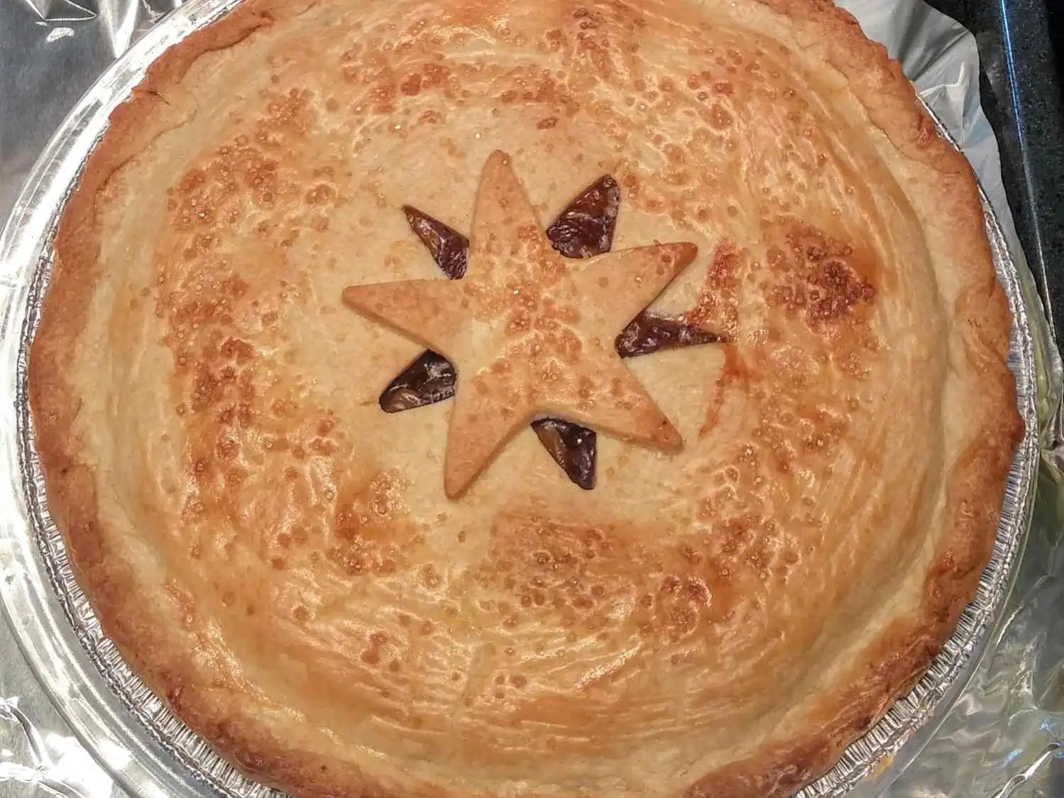 Old Fashioned Raisin Pie Recipe