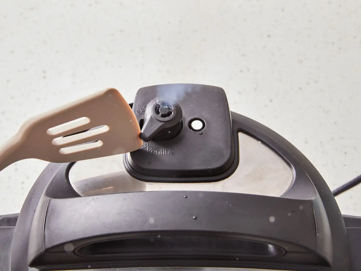 Instant Pot Frozen Salmon Recipe