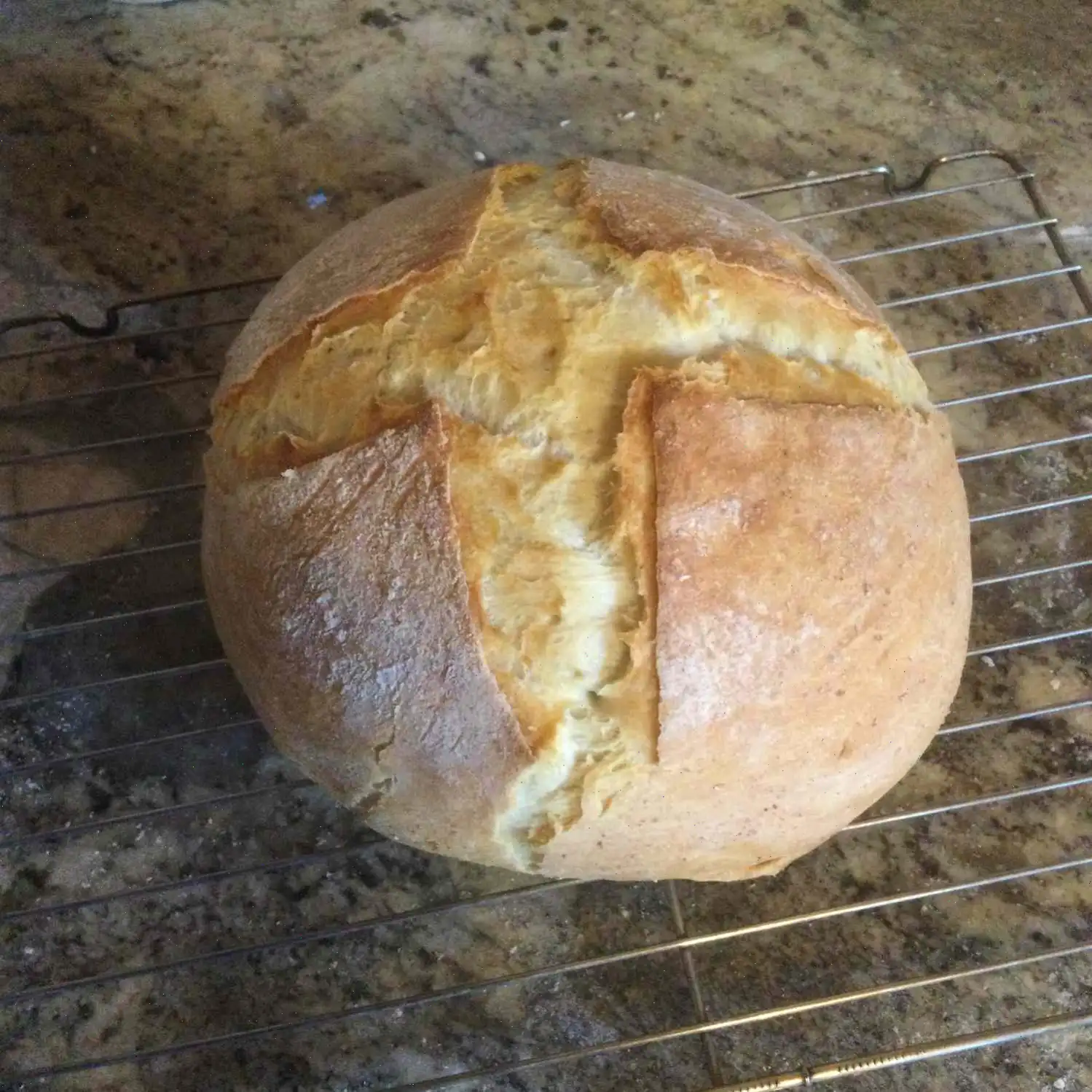 Crusty Dutch Oven Bread Recipe