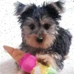 Homemade Dog Food with Chicken Recipe