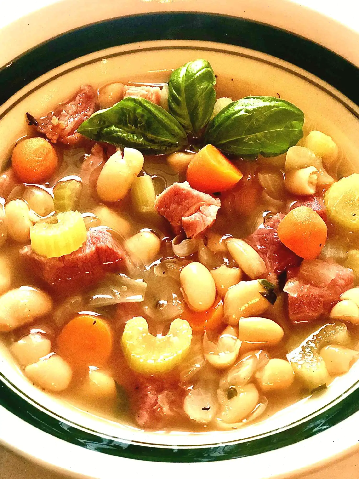 Quick Ham and Bean Soup Recipe