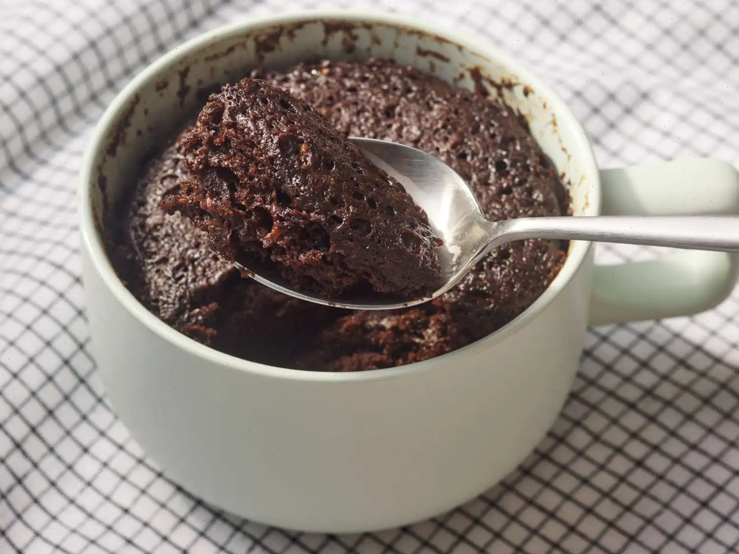 Easy Microwave Chocolate Mug Cake Recipe (with Video)